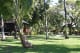Waimea Plantation Cottages coconut grove courtyard