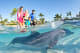 The Reef Atlantis Dolphin Cay