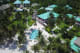 Victoria House Resort & Spa Aerial