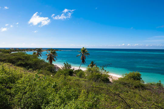 Aruba