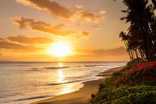 Kaanapali, Maui